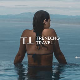 Brand Identity And Website Design For Trending Travel cover image