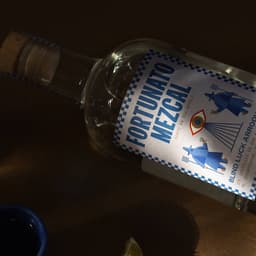 Naming And Packaging For Artisanal Mezcal Fortunato cover image