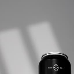 Brand Identity And Packaging For The Establishment Brewery cover image