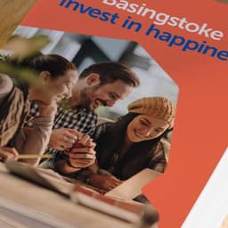 Basingstoke And Deane Borough Council - DNCO design work cover image