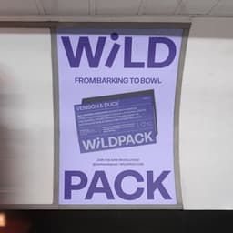 Brand Identity For Wild Pack cover image