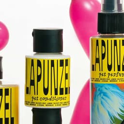 Lapunzel - Dviyka design work cover image