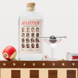 Haister - Dviyka design work cover image