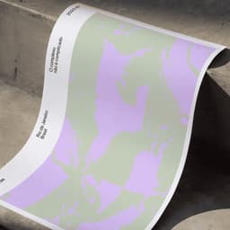 Visual Identity For Simplexidade cover image