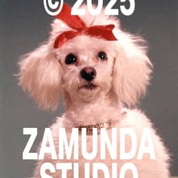 Brand Identity For Zamunda Audiovisual Studio cover image
