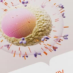 Gsk - F37 Foundry design work cover image