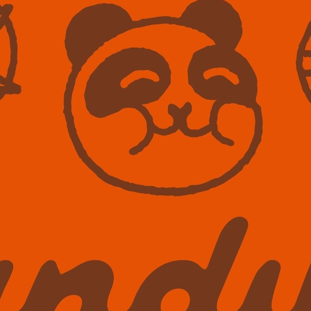 Brand Identity And Strategy For Pandilla