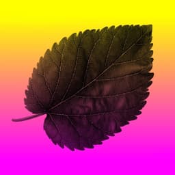 Identity And Communication System For Living Nature Pavilion cover image