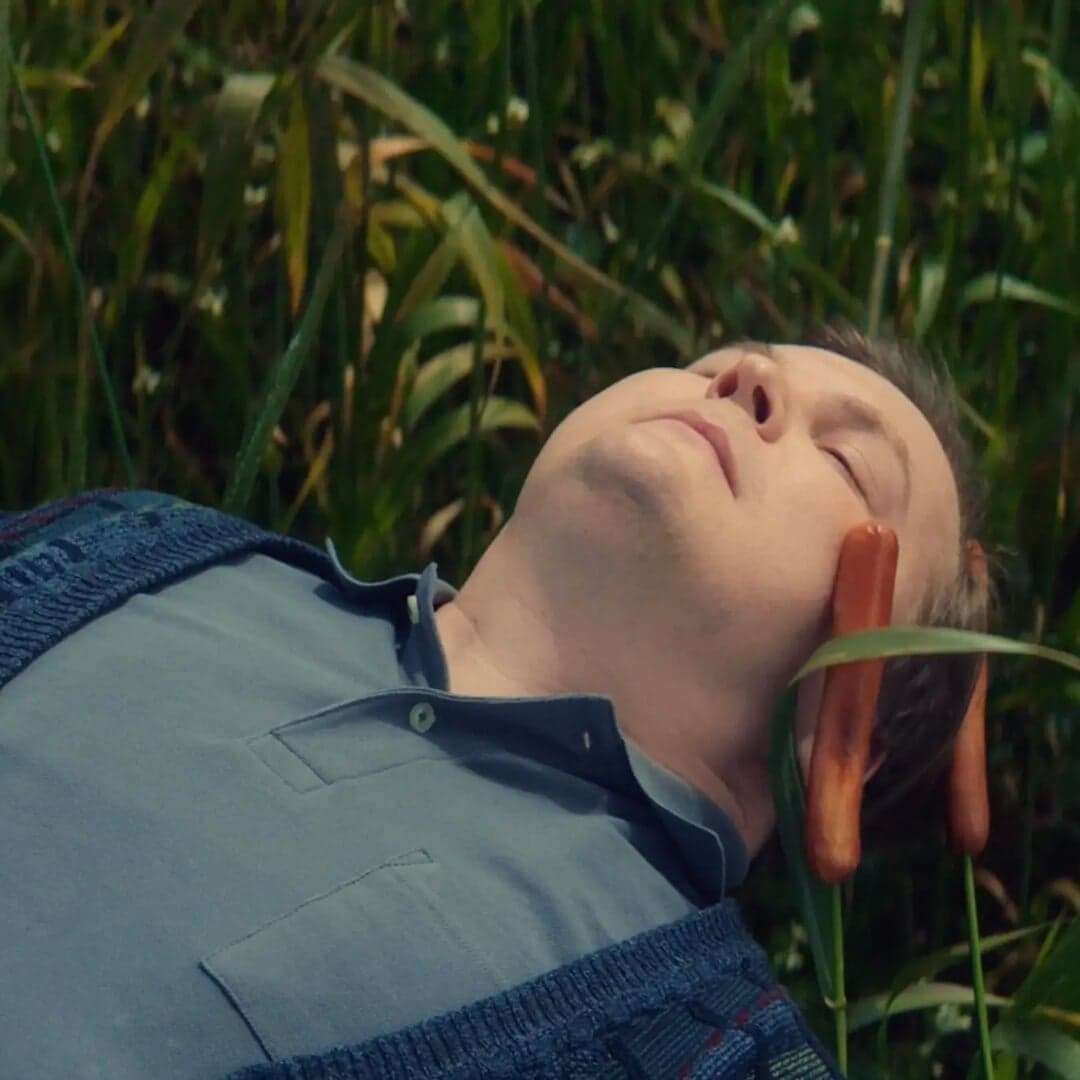 Advertising Campaign For Peas Of Heaven