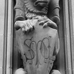 Brand And Campaign Development For Queen & Collins Precinct cover image