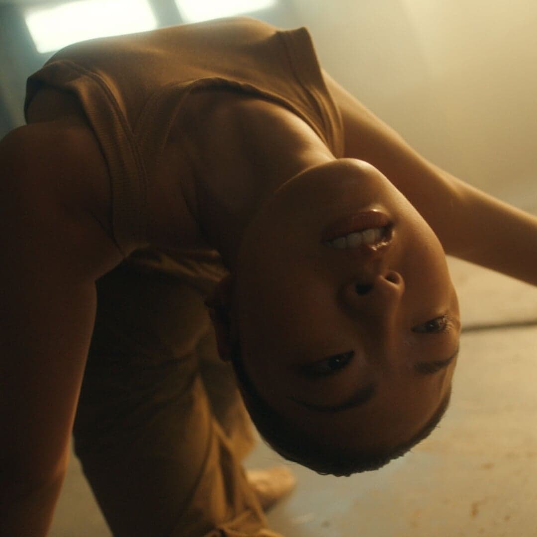 Campaign Identity For Bitis Hunter Street Collaboration