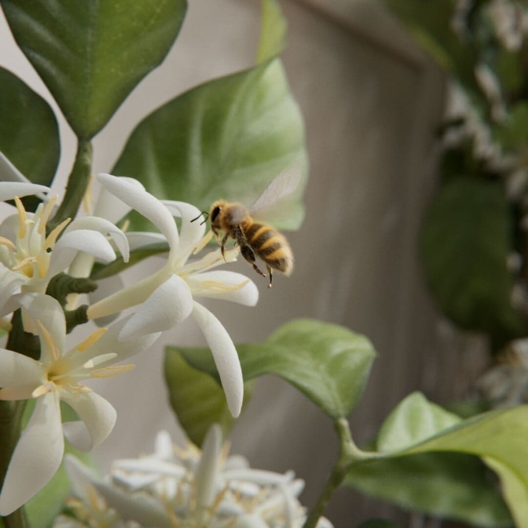 Immersive Campaign For Nespresso