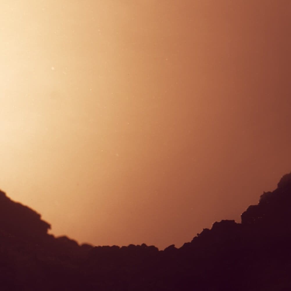 Live Performance Visuals For Lfos