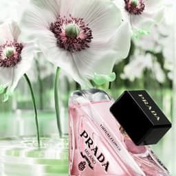 Digital Campaign For Prada Fragrance Launch cover image