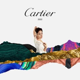Cartier - Herve design work cover image