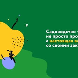 Brand Identity For Viktorija 92 Horticulture cover image