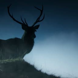 Main Title Design For Outlander On Starz cover image