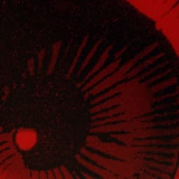 Identity Rebrand For Marvel Studios cover image