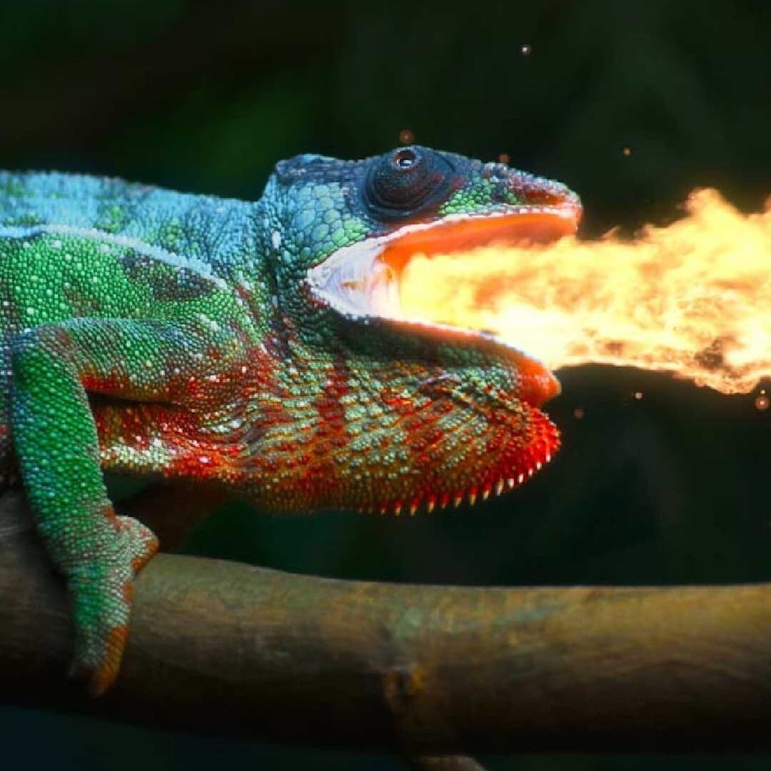 Retail Campaign For Dolby Vision And Lg