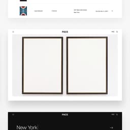 Digital Platform Redesign For Pace Gallery cover image