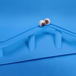 Campaign For Nemo Zo Te Zien Exhibition cover image