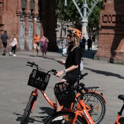 Brand Identity For Orange Fox Guided Bike Tours cover image