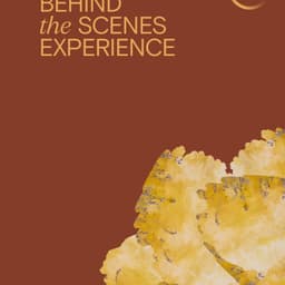 Identity And Website For European Cultural Academy cover image