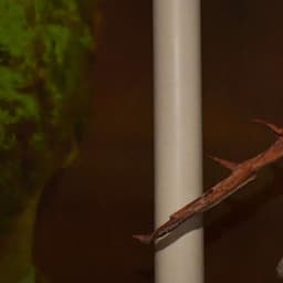 Visual Identity For Museum Of London's Night London Council Event cover image