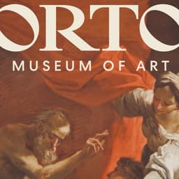 Brand Identity For The Norton Museum Of Art cover image