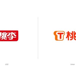 Brand Upgrade For Taoli cover image