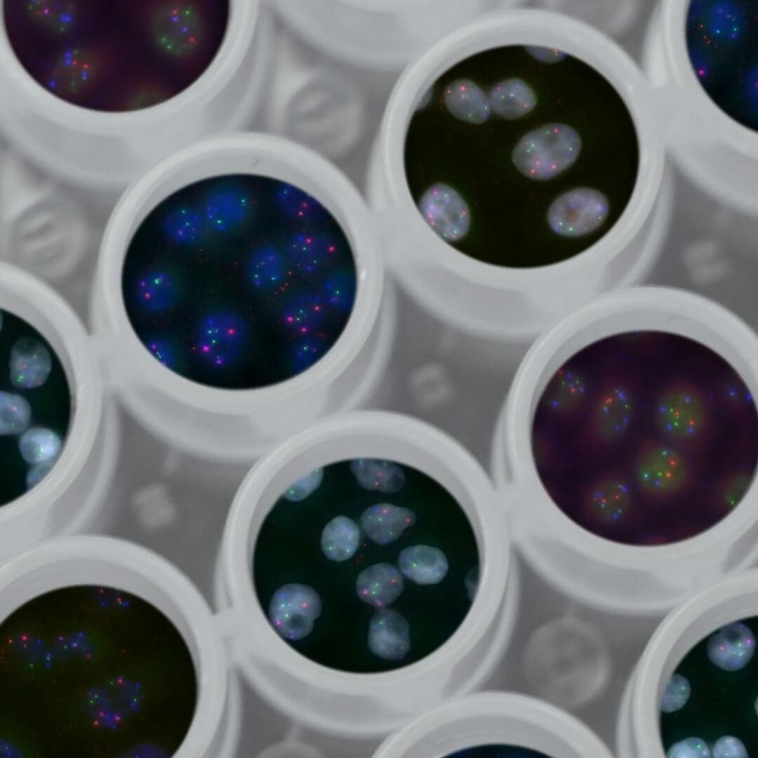 Brand Identity And Digital Platform For Faculty Of Impact