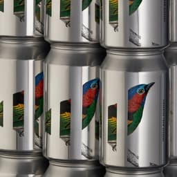 Packaging Design For Oddbird Tanager Ipa cover image