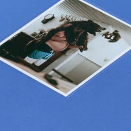 Book Design For A Photography Association  cover image