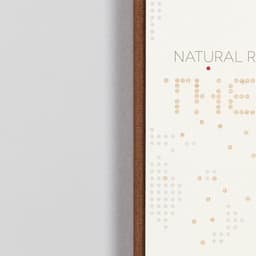 Editorial Design For Natural Recall Book cover image