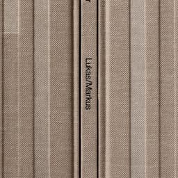 Editorial Design For Kalle Sanner’s Lukas/markus Book cover image