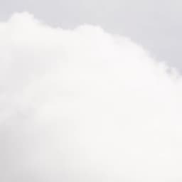 Exhibition Design For Too Late For History To End cover image