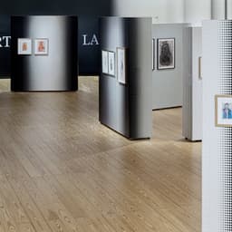 Exhibition Design For Portreto De La Animo cover image