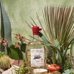 Packaging And Brand Identity For The Lost Explorer Mezcal cover image