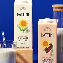 Brand Identity And Packaging For Lattini Plant-based Milk cover image