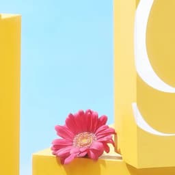 Brand Identity And E-commerce Experience For A Floral Fashion Label  cover image