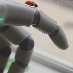 Editorial Exploration For Humanoid Counterparts cover image