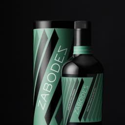 Website Design For Zabodez cover image