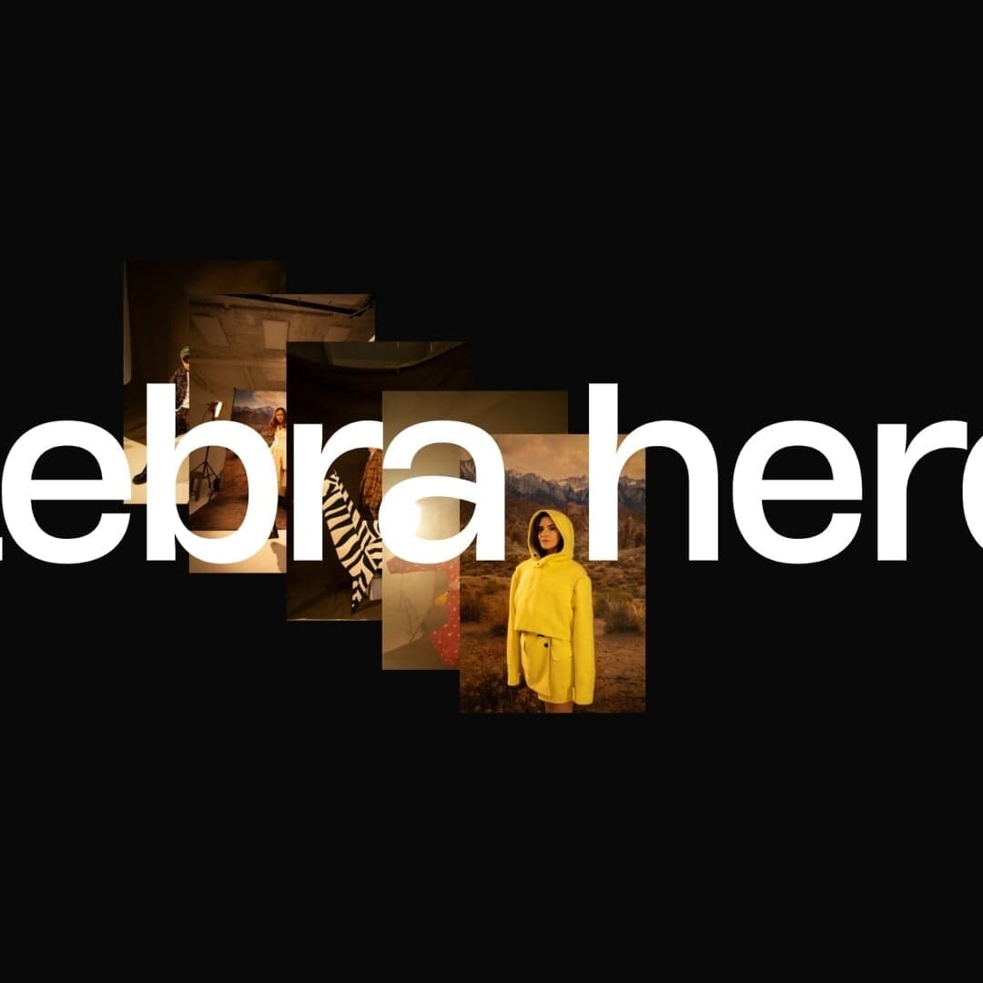 Website Redesign For Creative Agency Zebra Hero