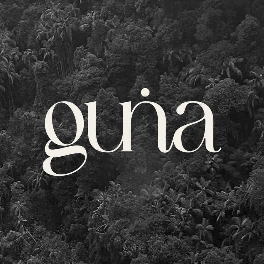 Logo And Website Design For Guna Space