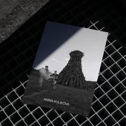 Anna Kulikova - NAAU design work cover image