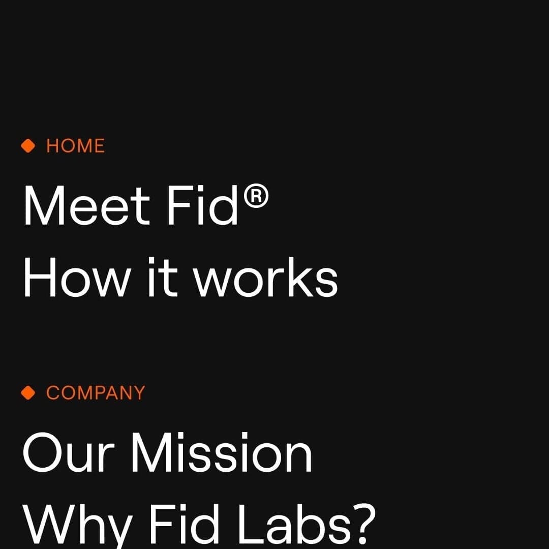 Brand Identity And Website Design For Fid Labs