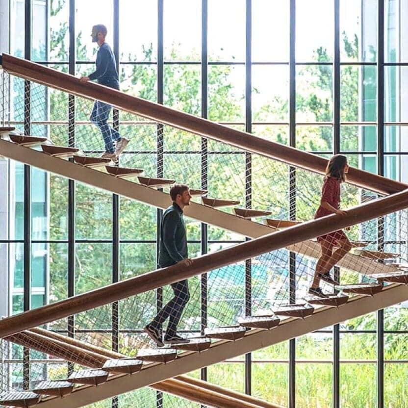 Digital Strategy And Website Redesign For Royal Haskoningdhv