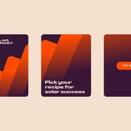 Brand Identity And Positioning For Solar Monkey cover image