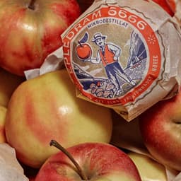 Packaging And Branding For Balholm Epledram 6666 cover image