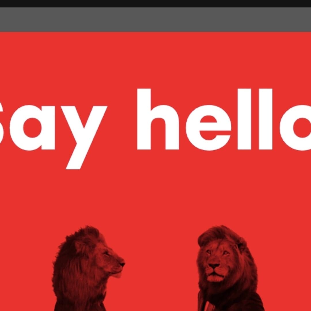 Website Design For Simba Craft Beers